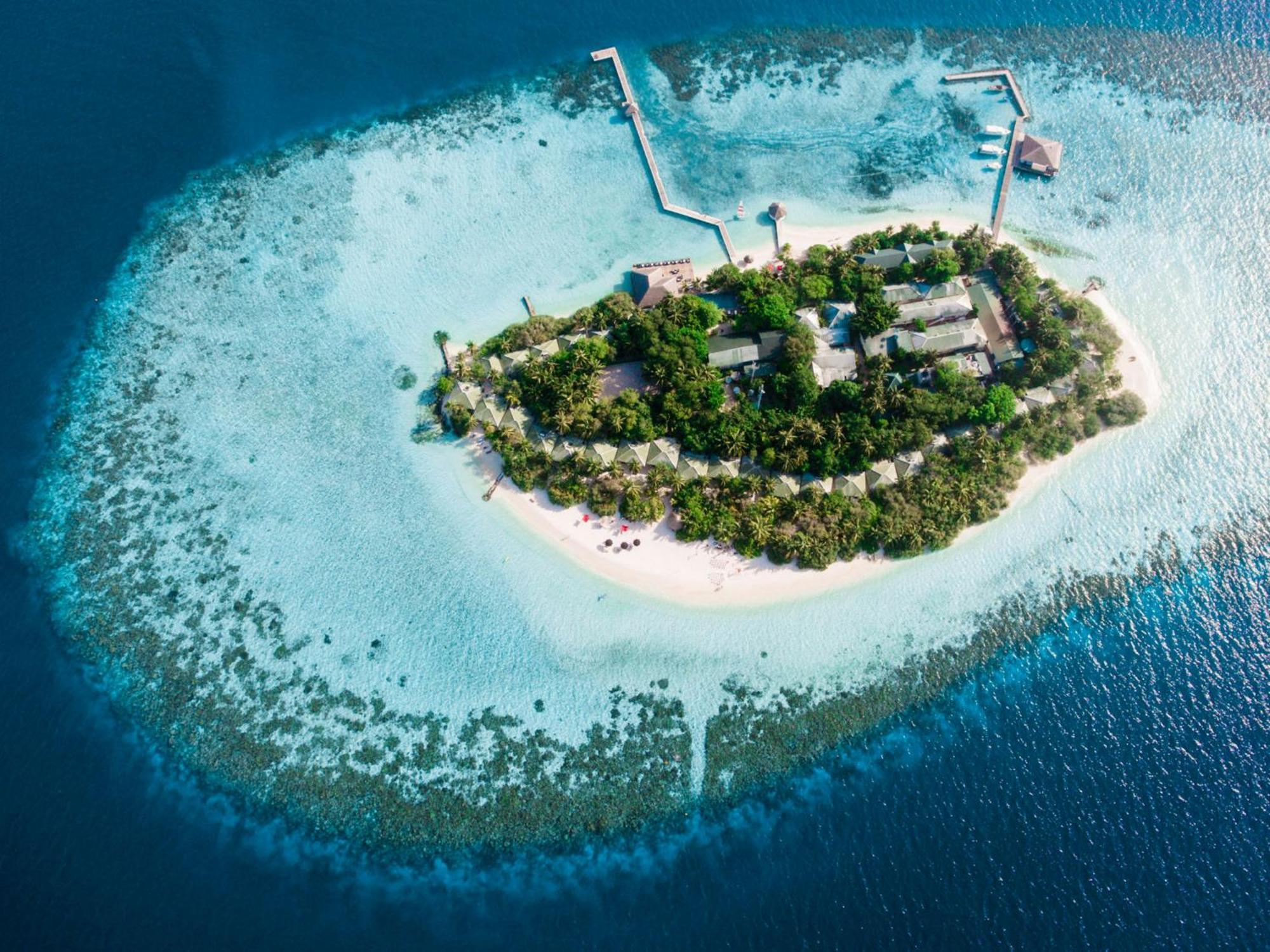 Island Complex 4*