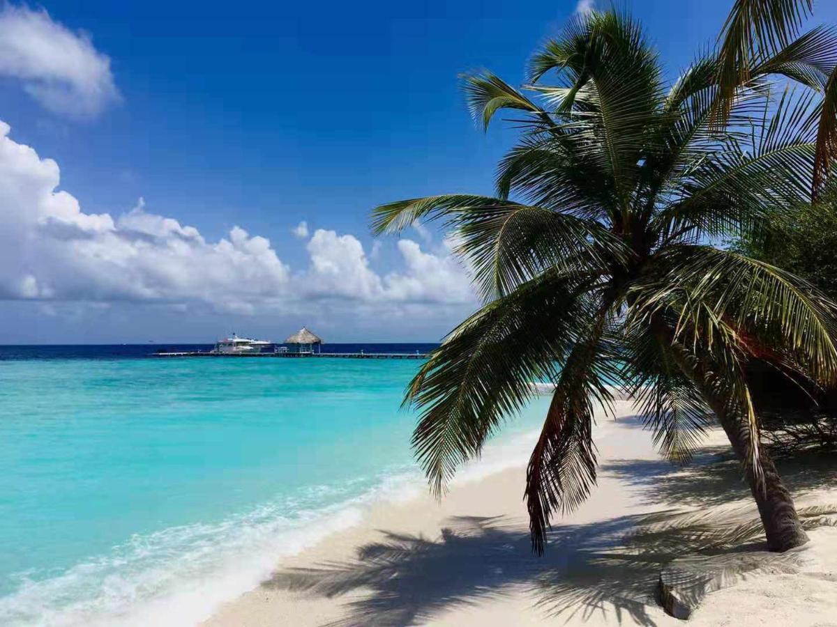 Island Eriyadu
